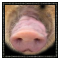 (image)