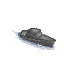 (image)
